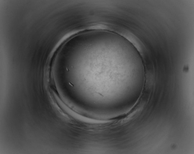 X0000101961000200807181036