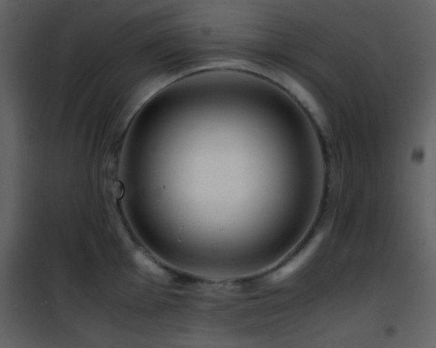 X0000101961001200807181036