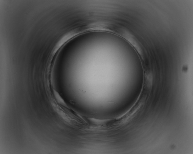 X0000101961002200807181036