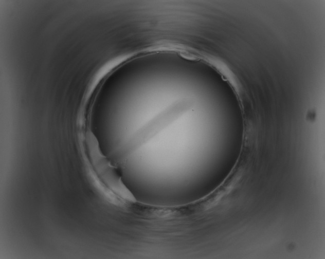 X0000101961003200807181036