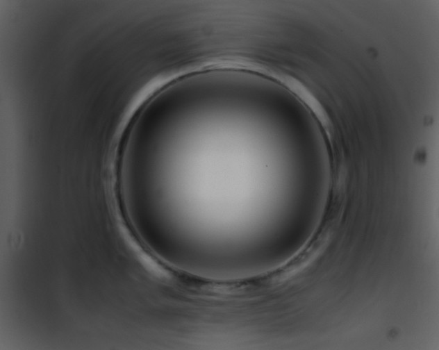 X0000101961005200807181036