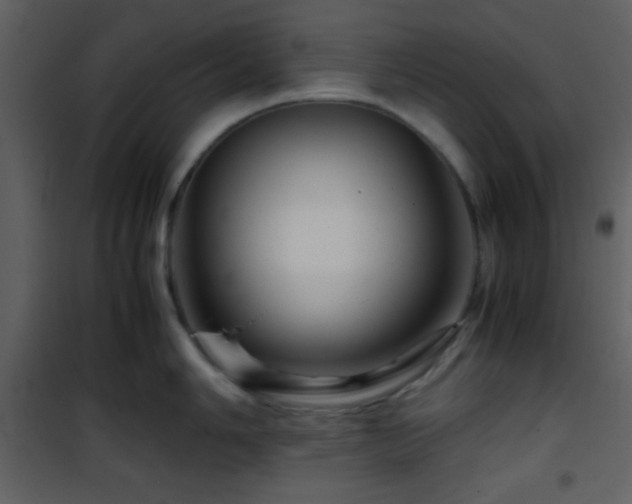 X0000101961006200807181036