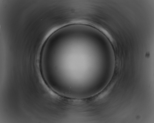X0000101961007200807181036