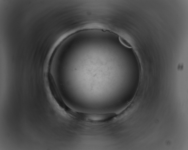 X0000101961008200807181036