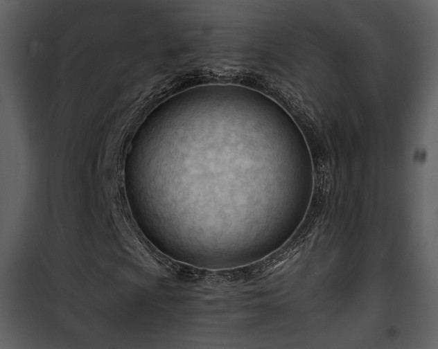 X0000101961009200807181035