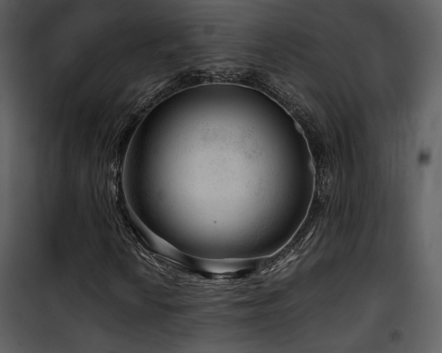 X0000101961010200807181035