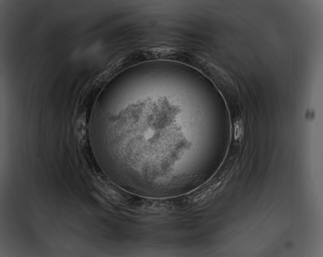 X0000101961011200807181035