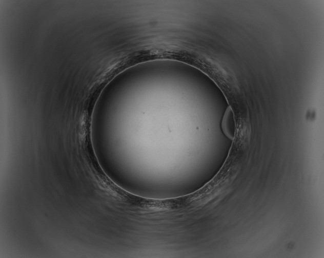 X0000101961012200807181035
