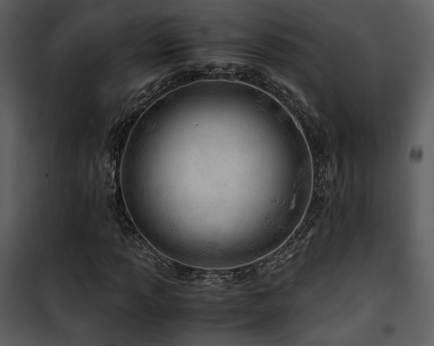 X0000101961013200807181035