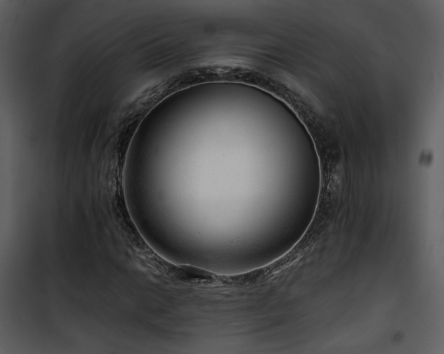X0000101961014200807181035