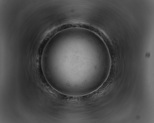 X0000101961016200807181035