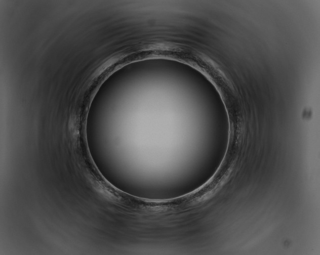 X0000101961017200807181035