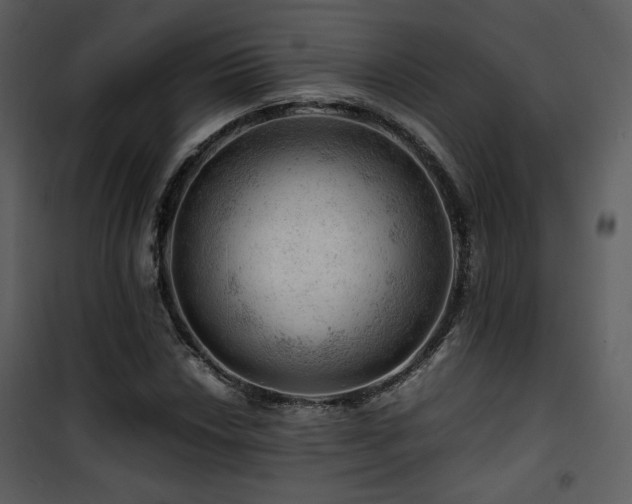 X0000101961018200807181035