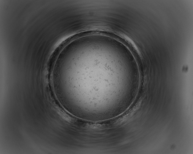 X0000101961019200807181035