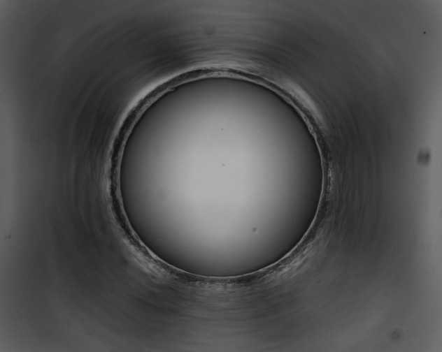 X0000101961020200807181035