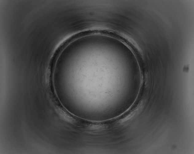 X0000101961021200807181035