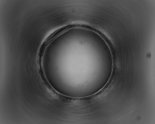 X0000101961022200807181035