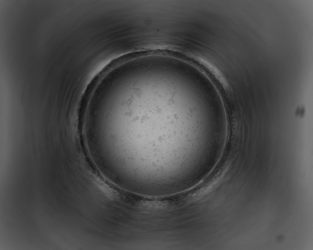 X0000101961023200807181035