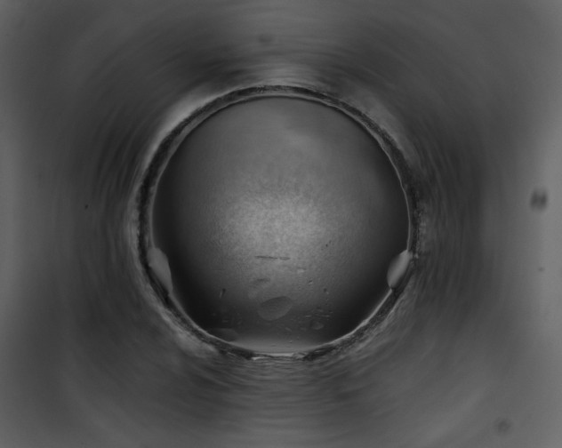 X0000101961024200807181035
