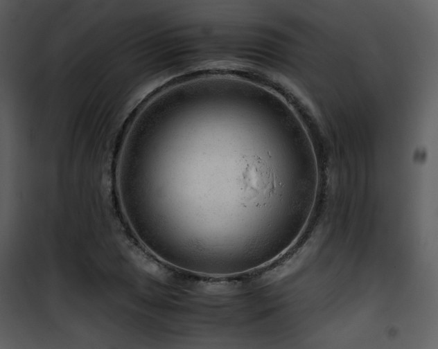 X0000101961025200807181035