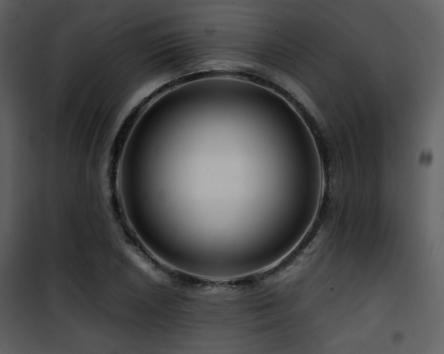X0000101961026200807181035