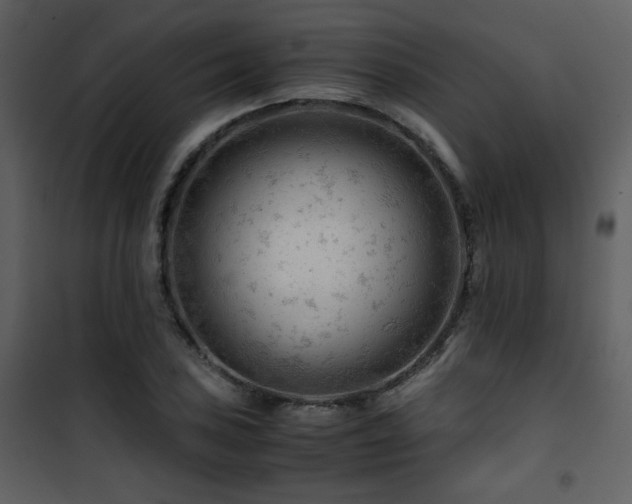 X0000101961027200807181035