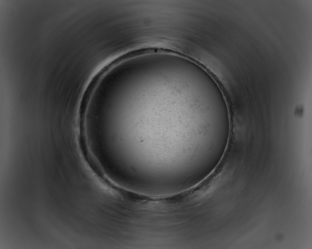 X0000101961028200807181035