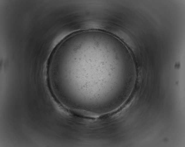 X0000101961031200807181035