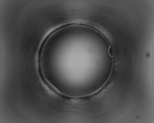 X0000101961032200807181035