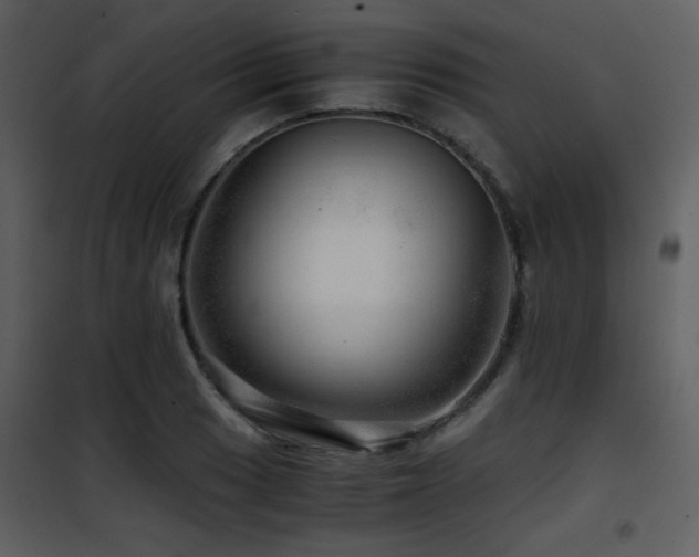 X0000101961033200807181035