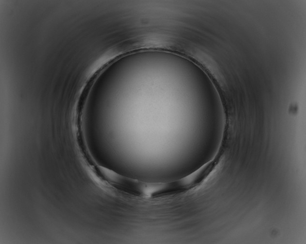 X0000101961034200807181035