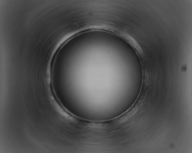 X0000101961036200807181035