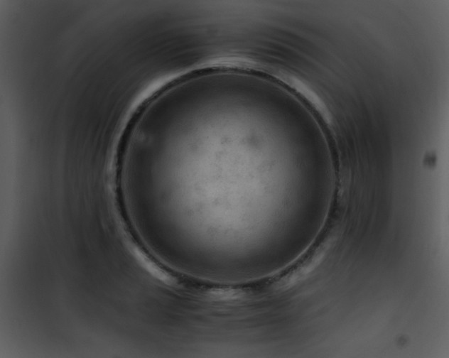 X0000101961037200807181035
