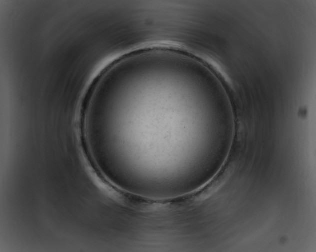X0000101961038200807181035