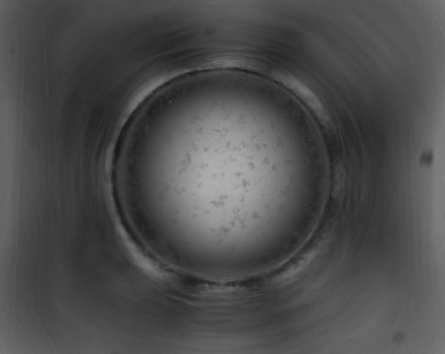 X0000101961039200807181035