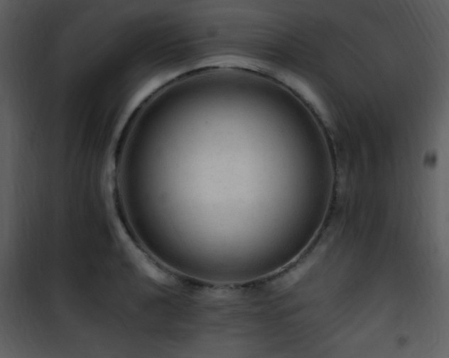 X0000101961040200807181035