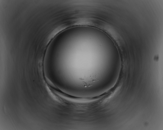 X0000101961041200807181035