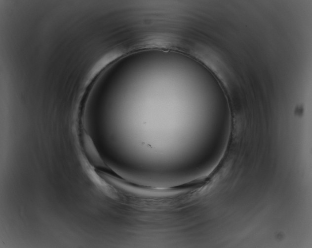 X0000101961042200807181035