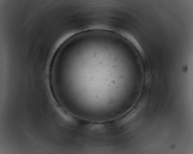 X0000101961043200807181036