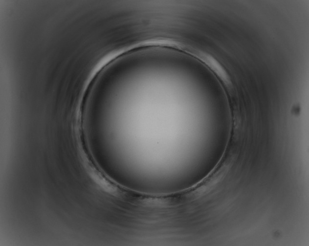 X0000101961044200807181036