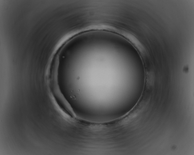 X0000101961046200807181036