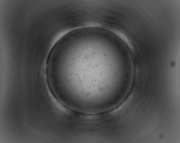 X0000101961047200807181036