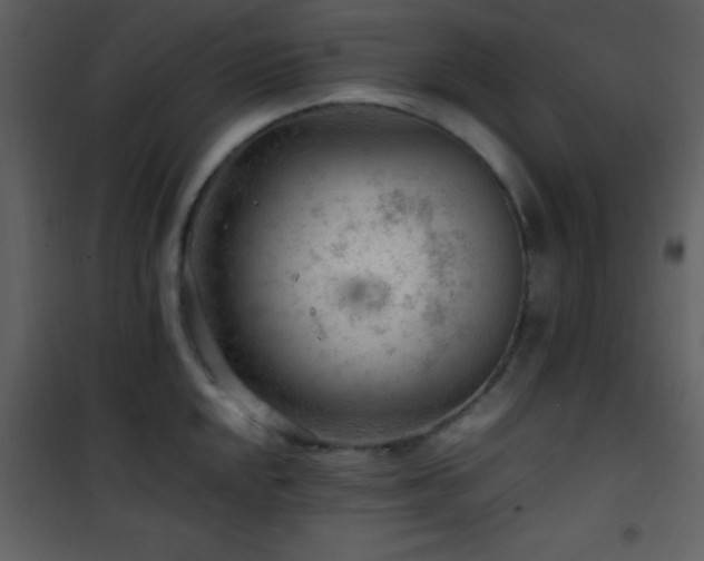 X0000101961048200807181036
