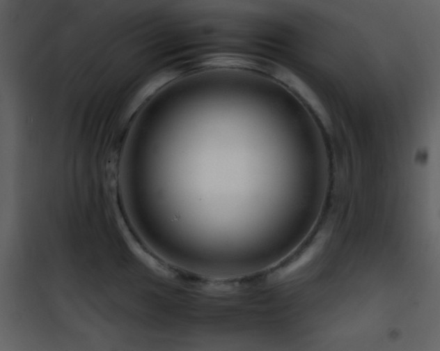 X0000101961049200807181036