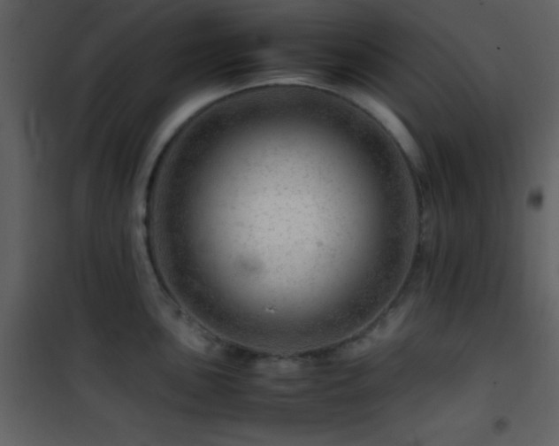 X0000101961051200807181036