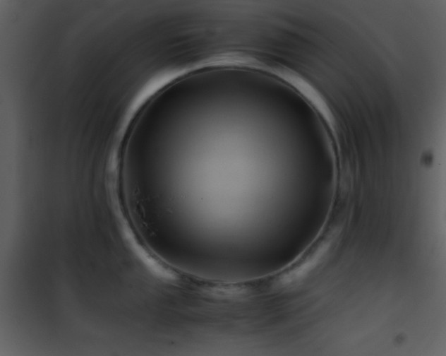 X0000101961053200807181036
