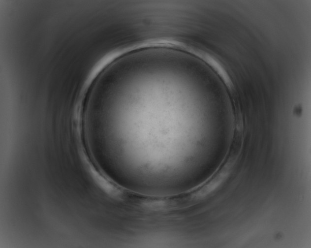 X0000101961054200807181036