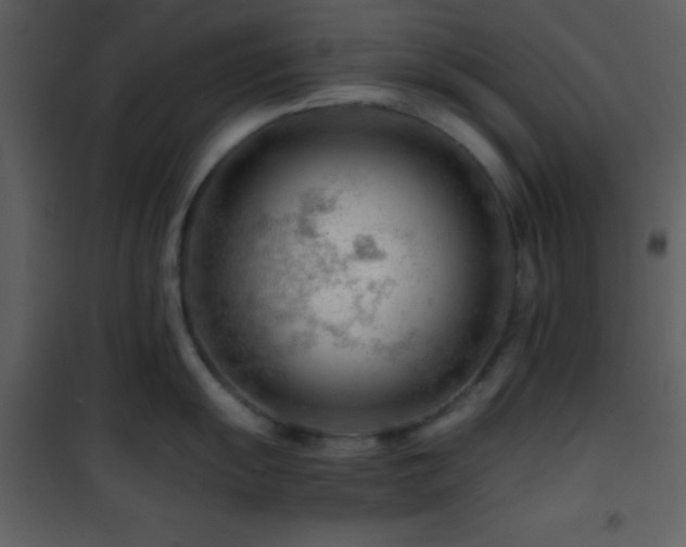 X0000101961055200807181036
