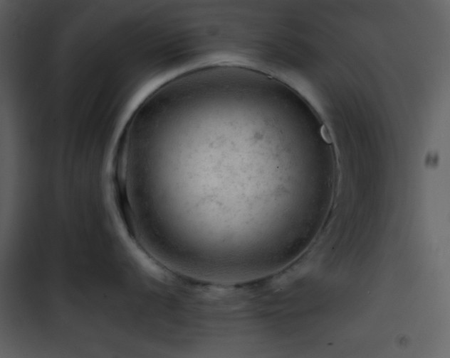 X0000101961056200807181036