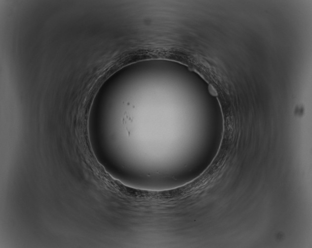 X0000101961057200807181035